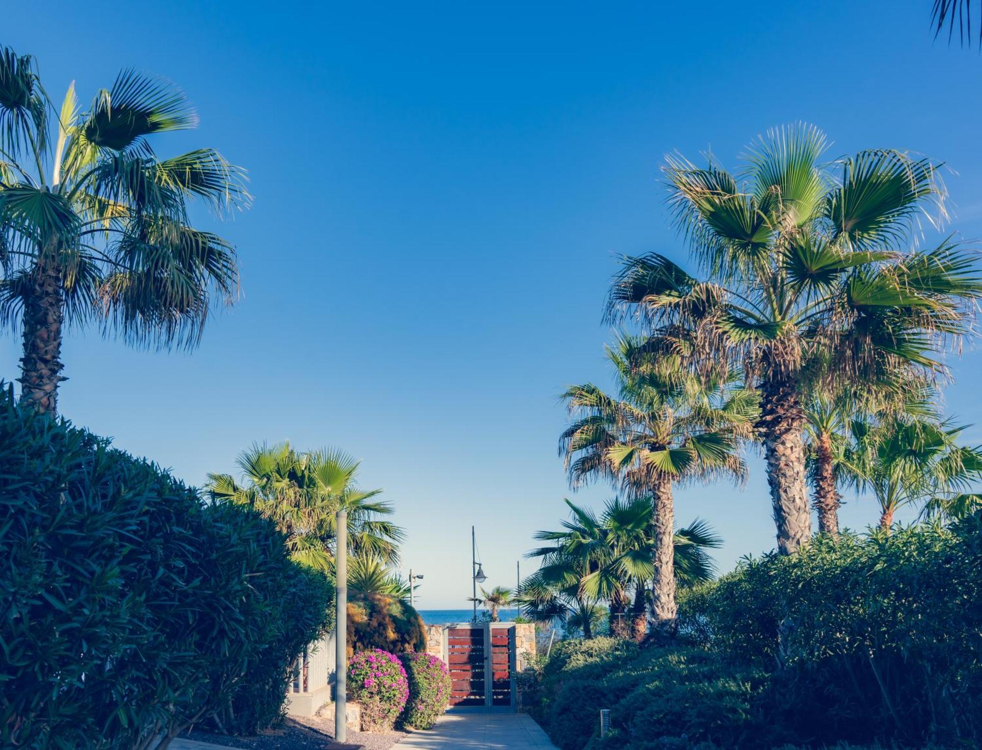 Apartamento Premium Con Jacuzzi Y Vistas Al Mar En Punta Prima, Torrevieja By Rentalole 外观 照片